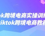 TikTok跨境电商实操训练营，tiktok跨境电商教程