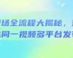 河马剧场全流程大揭秘，短剧爆款精选同一视频多平台发布实操