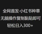 全网首发，小红书种草无脑操作，复制黏贴即可，轻松日入3张