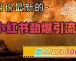 小红书超劲爆引流手段，图文日引300+轻松变现1W