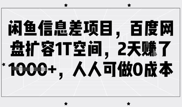 闲鱼信息差项目，百度网盘扩容1T空间，2天收益1k+，人人可做0成本